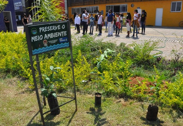 Sustentabilidade: Ministério do Meio Ambiente lança programa Escolas Mais Verdes